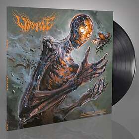 Almost Wormhole Human Vinyl