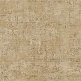 Parato Textum 24444