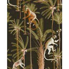 Mindthegap Barbados Anthracite WP20160