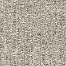 Parato Textum 24457