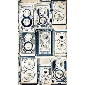 Mindthegap Obscure Light WP20238