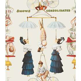 Mindthegap The Great Show WP20002