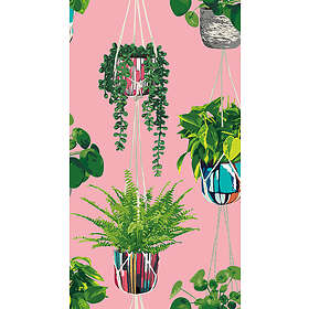 Ohpopsi Houseplant Bubblegum GRA50109W
