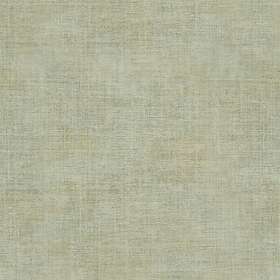 Parato Textum 24495