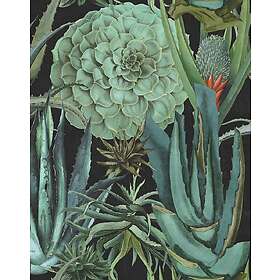 Mindthegap Succulentus Anthracite WP20167