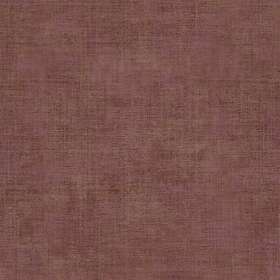 Parato Textum 24498
