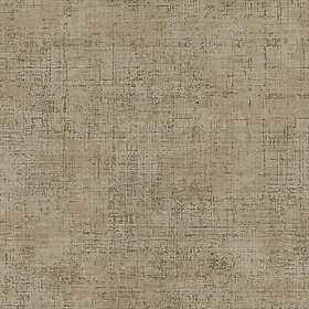 Parato Textum 24447