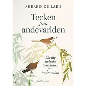 Sherrie Dillard: Tecken från andevärlden