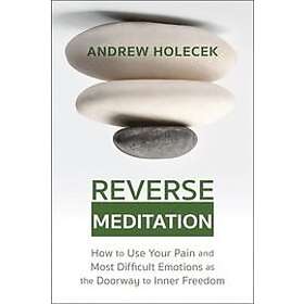 Andrew Holecek: Reverse Meditation