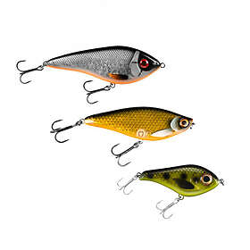 Söder Sportfiske Gäddfavoriter Jerk & Swimbait