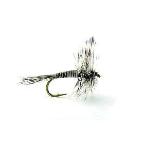 Umpqua Flies Mosquito #12