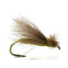 Umpqua Flies Cdc Caddis Adult Oliv #12
