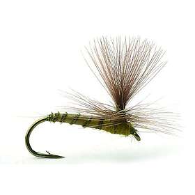 Umpqua Flies Biot Dun Medium Olive #16