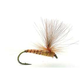 Umpqua Flies Aurivilli #12