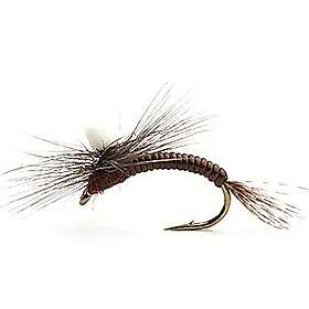 Umpqua Flies Leptoklekker #12