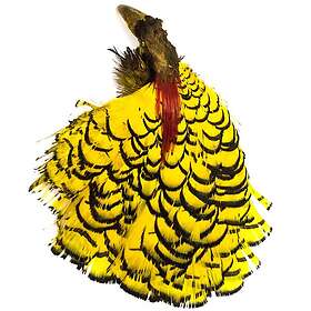 Veniard Amherst Pheasant Head No.2 Dyed Yellow Diamantfasan komplett huvud