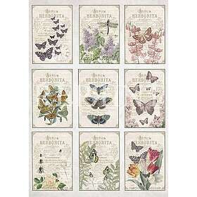 Reprint Hobby Vintage Foton A4 Garden Butterflies