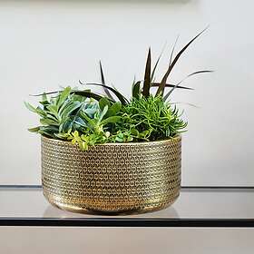 Solis Ivyline Embossed Bowl Gold H15CM D30CM