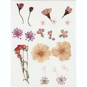 Creativ Company Pressade Blommor Ljusrosa 1 Förp blomor, ljusrosa, förp. 504474