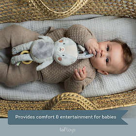 Taf Toys Musik Kanin