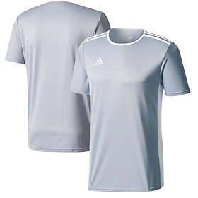 Adidas Entrada 18 Short Sleeve T-shirt Grå 2XL Man