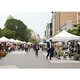 Dancover Snabbtält Depåtält Easy-up tält Eventtält Partytält FleXtents PRO 4x4m 