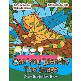 Image Can You Identify The Color By Number Book