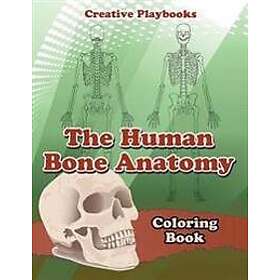 Coloring Book The Human Bone Anatomy