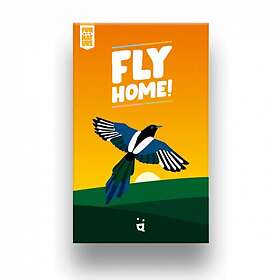 Fly Home
