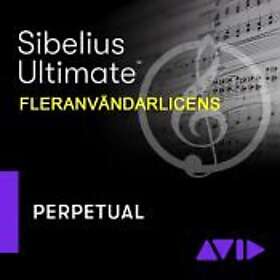 SIBELIUS Ultimate Fleranvändare st