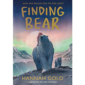 Finding Bear
