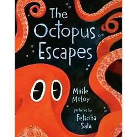 The Octopus Escapes
