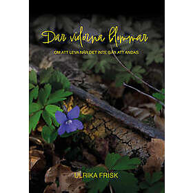 NÄR VIOLERNA BLOMMAR