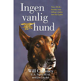 Ingen vanlig hund