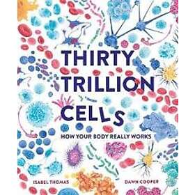 Thirty Trillion Cells