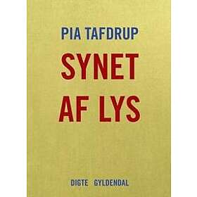 Synet af lys