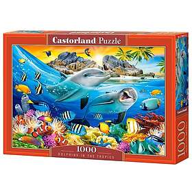 Castorland Delfiner i tropikerna 1000 Bitar