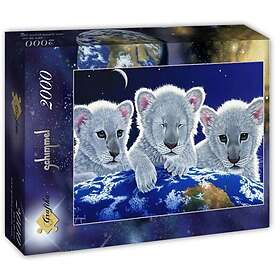 Grafika Art Pussel S.Shimmel: Hemlighet, Mysterium & Hopp 2000 Bitar