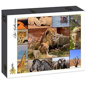 Grafika Art Puzzle Collage Wild Animals 1500 Pieces