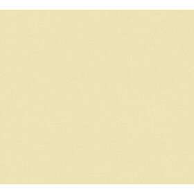 A.S. Creation Tapeten AG Metropolitan Stories III C9266-7