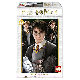 Educa Mini Pussel: Harry Potter 1 1000 Bitar