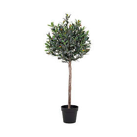 House Nordic Konstväxt Olive Tree 9501060