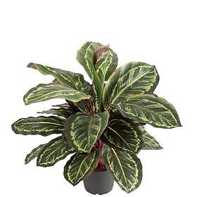 Fröken Fräken Konstväxt Maranta Grön 60 cm 5377-96-1