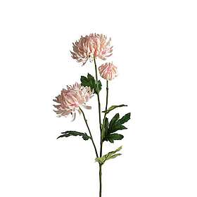 Fröken Fräken Konstväxt Chrysanthemum 60 cm 9430-20