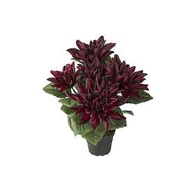 Fröken Fräken Konstväxt Dahlia 30 cm 1178-85-1