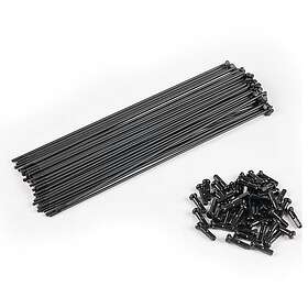 Spokes Éclat Pg 40 Units With Nipples Svart 190 mm