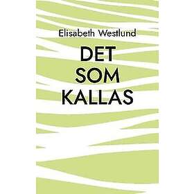 Elisabeth Westlund: Det som kallas
