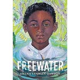 Freewater (Newbery & Coretta Scott King Award Winner)