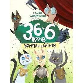 36 and 6 Companion Cats