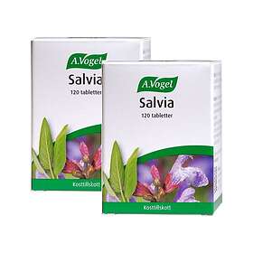 Vogels Alfred Salvia Ekonomipack 2x120t